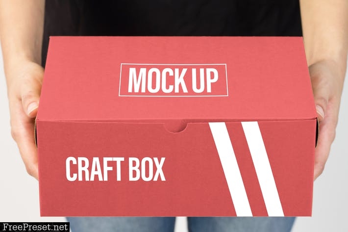 Carton Box Mock Up NT6DCK