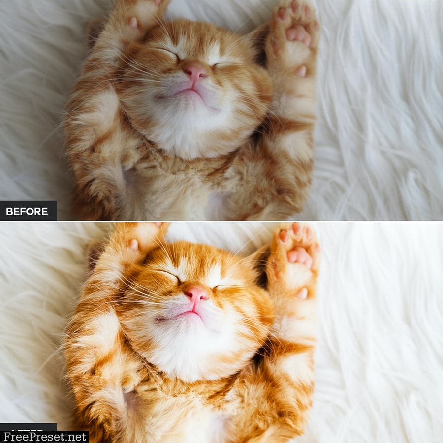 Cat Lightroom Presets