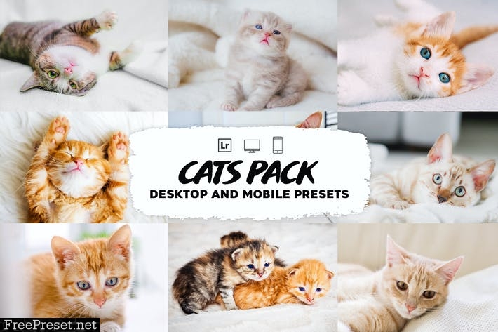 Cat Lightroom Presets