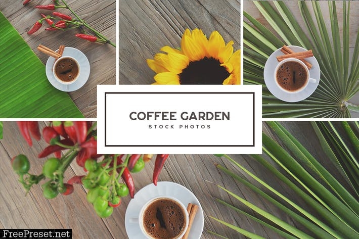 Coffee Garden - Stock Photo Bundle