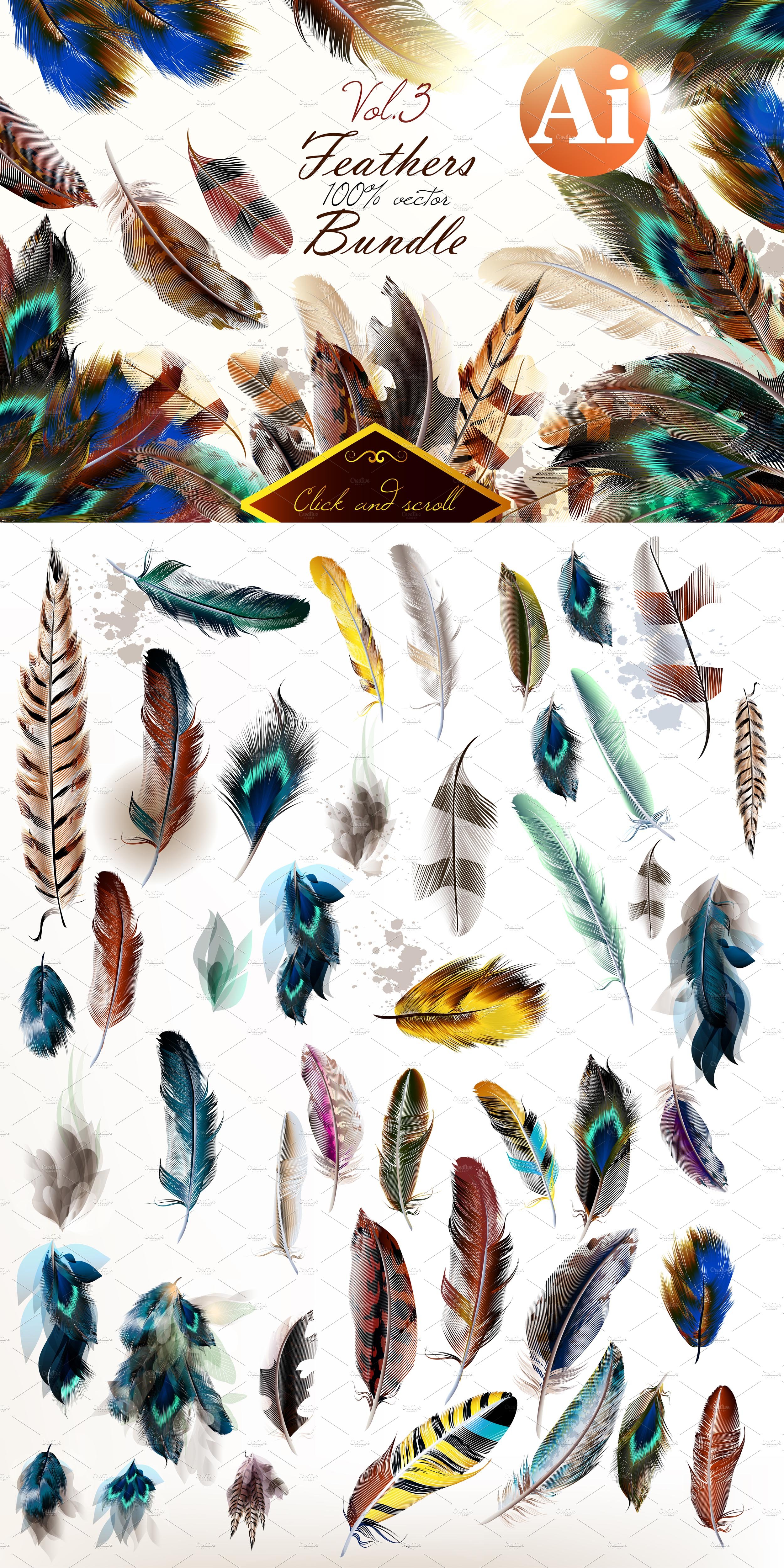 Colorful Feathers Bundle 677728