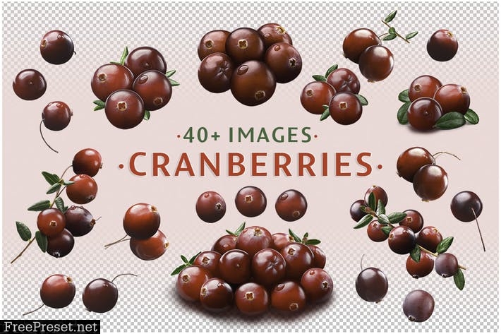 Cranberries, 46 images UDCYFU