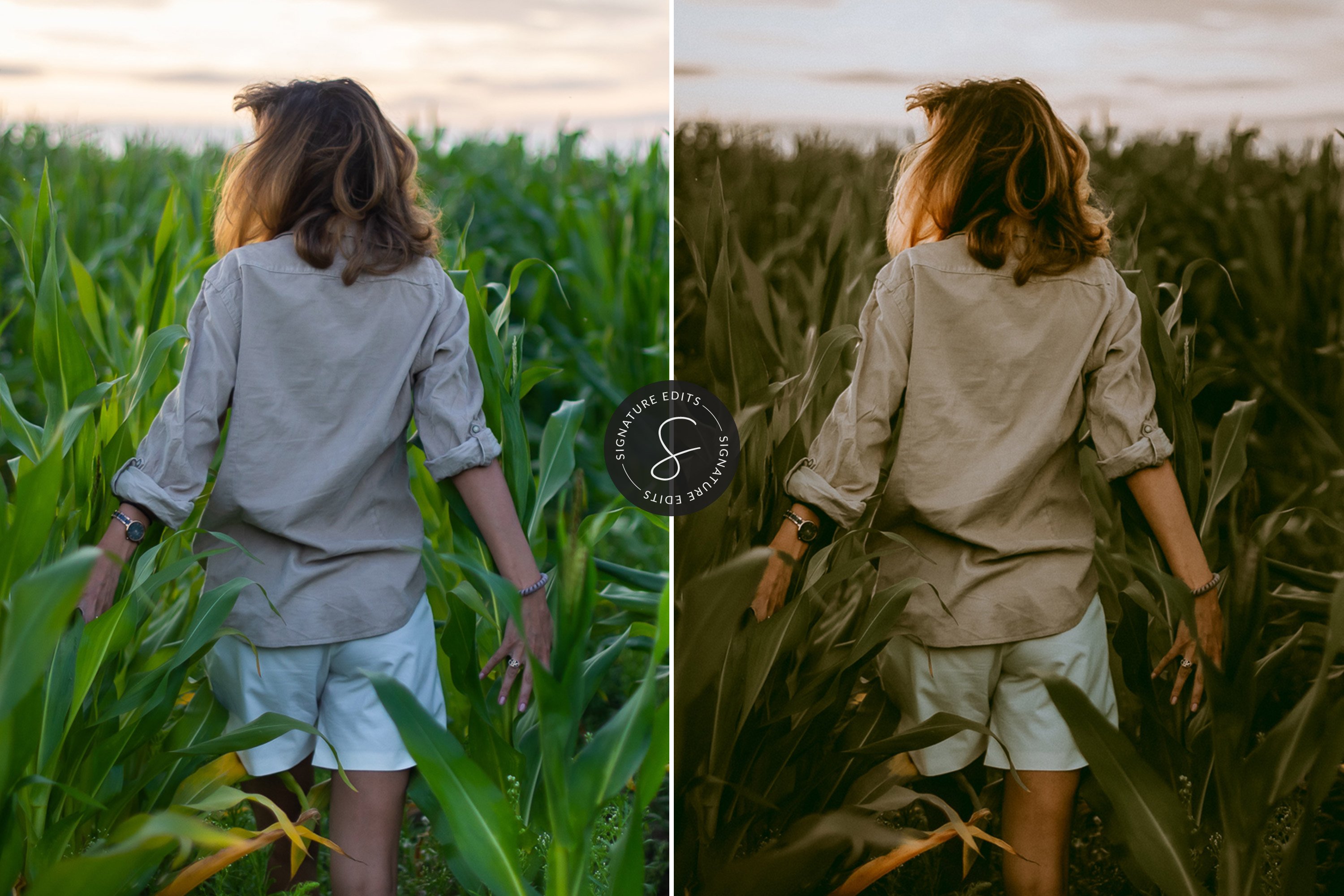 Dark & Moody Lightroom Presets 5832653