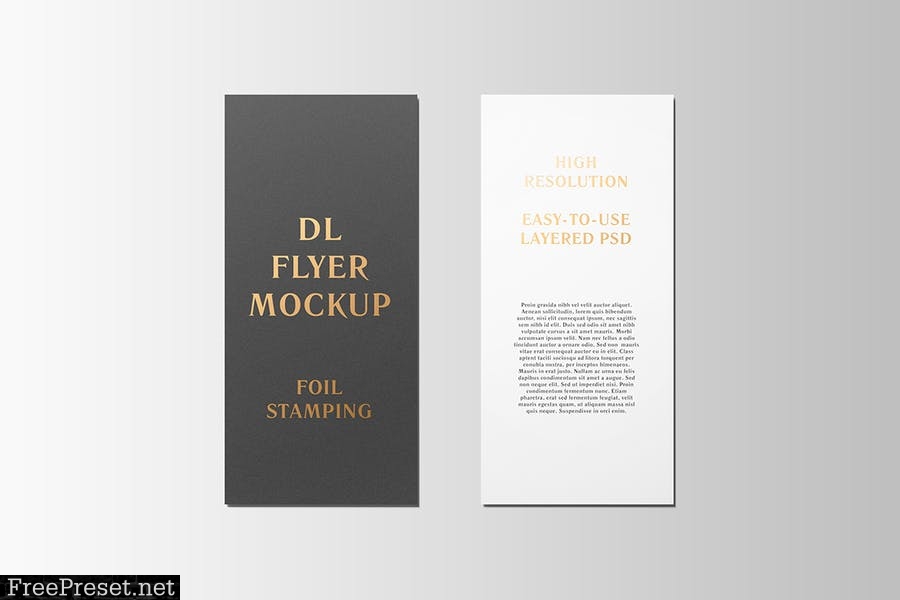 DL Flyer With Foil Stamping Mockup