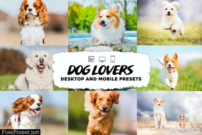 Dog Lovers Lightroom Presets Collection