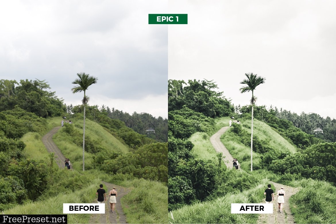 Epic Green Travel Lightroom Presets 5963169