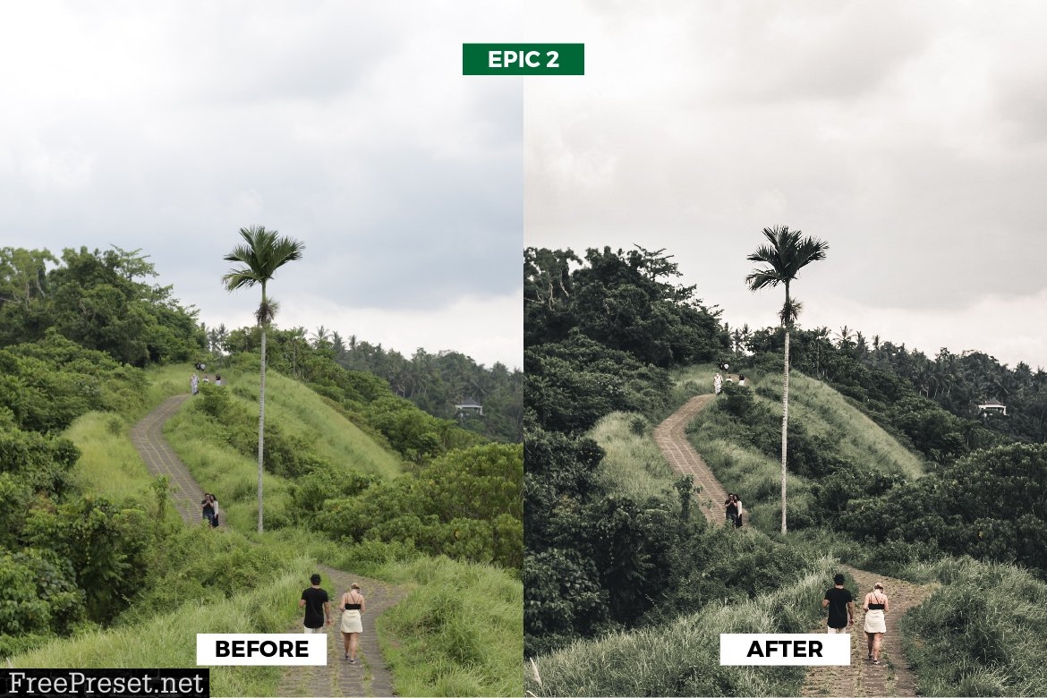 Epic Green Travel Lightroom Presets 5963169