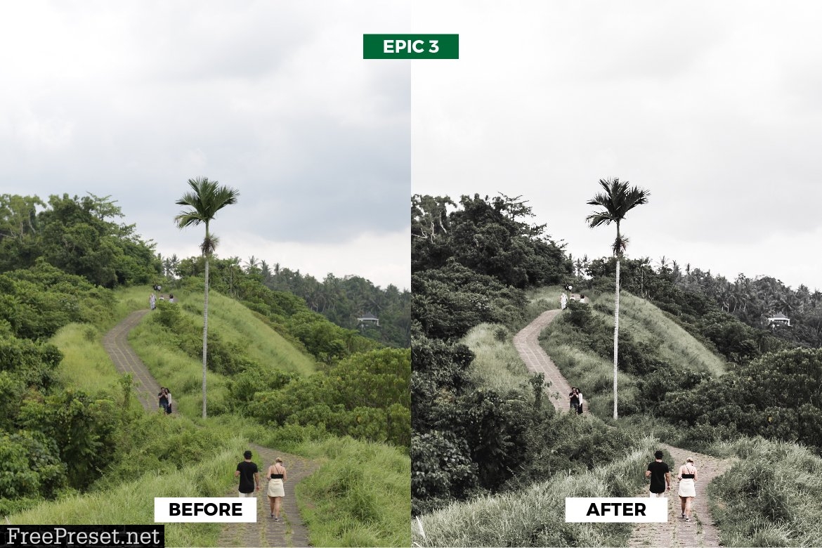 Epic Green Travel Lightroom Presets 5963169