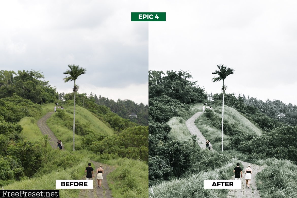 Epic Green Travel Lightroom Presets 5963169