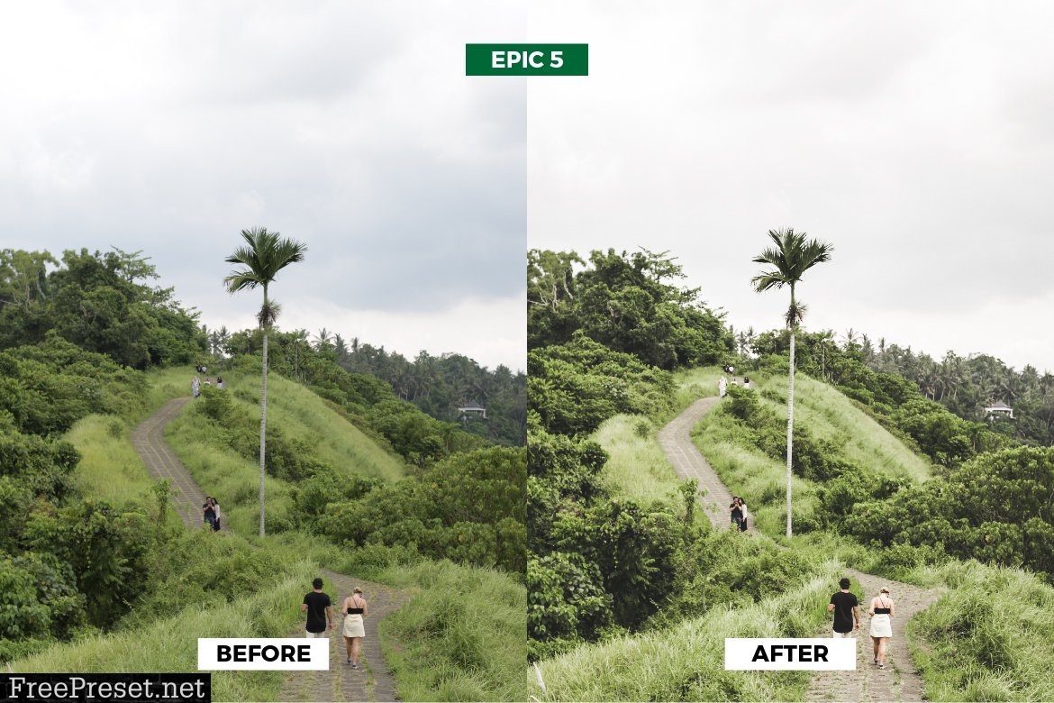 Epic Green Travel Lightroom Presets 5963169