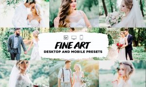 Fine art wedding lightroom presets 5953321