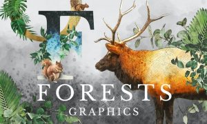 Forest Illustrations Graphics Kit MLKC8N