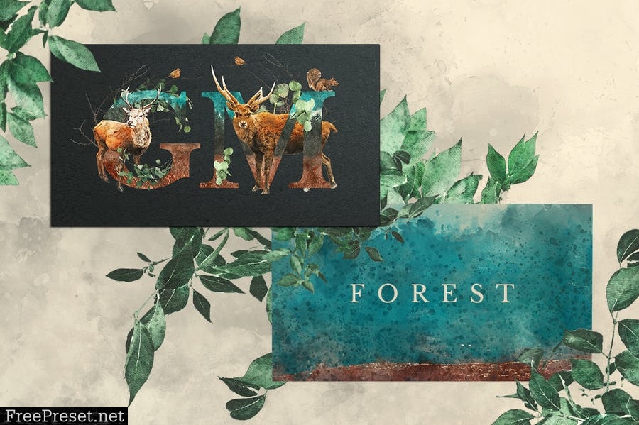 Forest Illustrations Graphics Kit MLKC8N