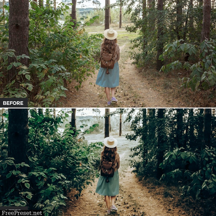 Forest Lightroom Presets