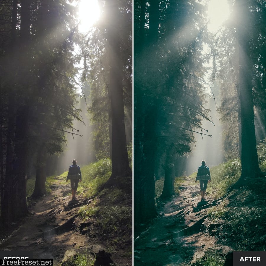 Forest Lightroom Presets