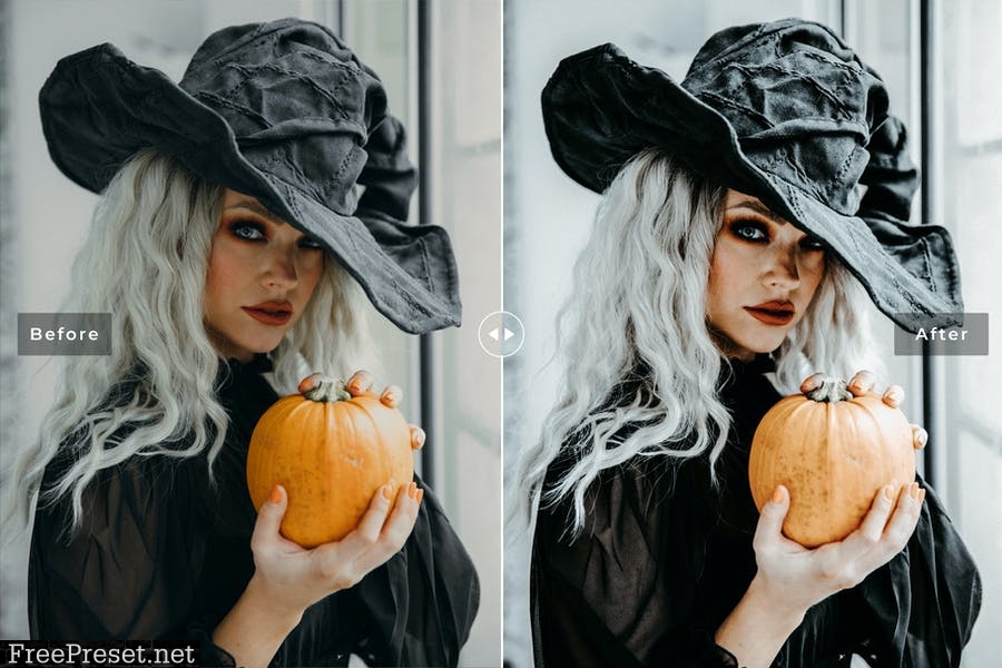 Gothic Mobile & Desktop Lightroom Presets