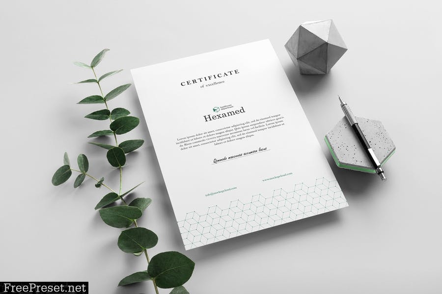 Hexamed Branding Mockup