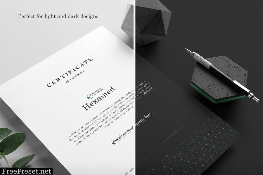 Hexamed Branding Mockup