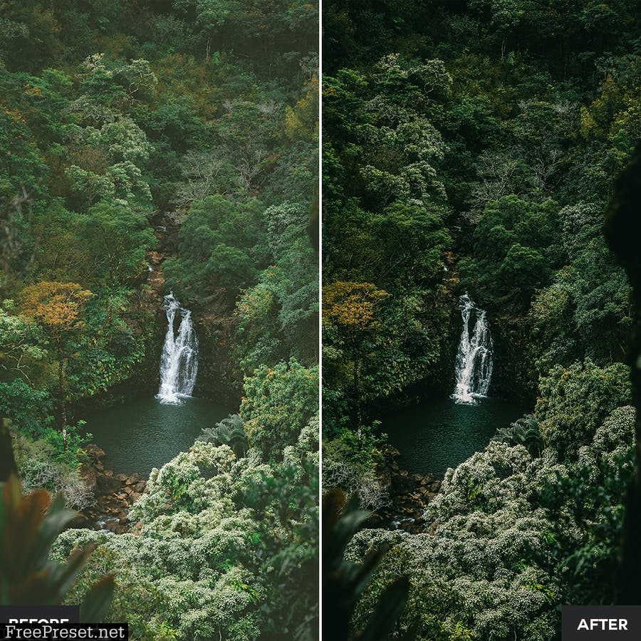 Jungle Lightroom Presets