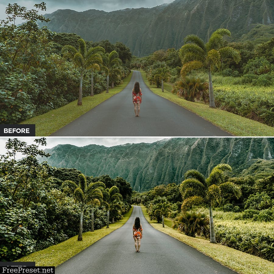 Jungle Photoshop Actions Y6YQT8P