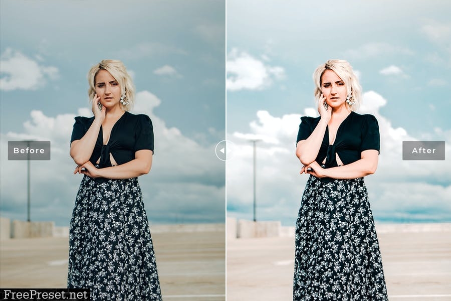 Libra Mobile & Desktop Lightroom Presets