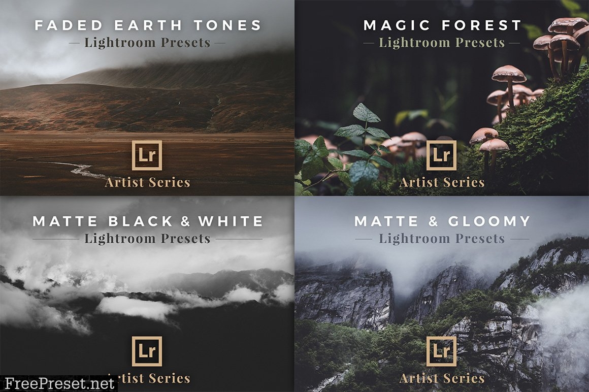 LR Presets Bundle (Desktop & Mobile)  924218