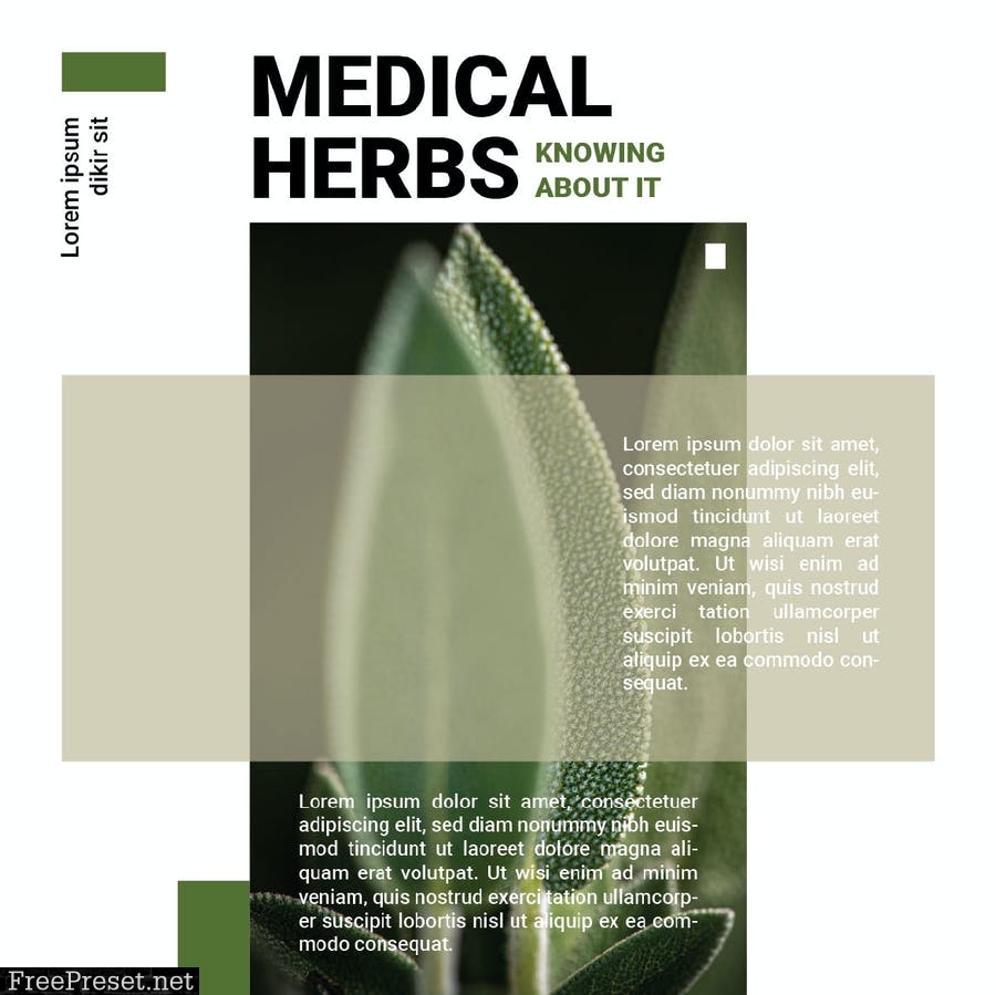 Medical Herbs 6U4PNCX