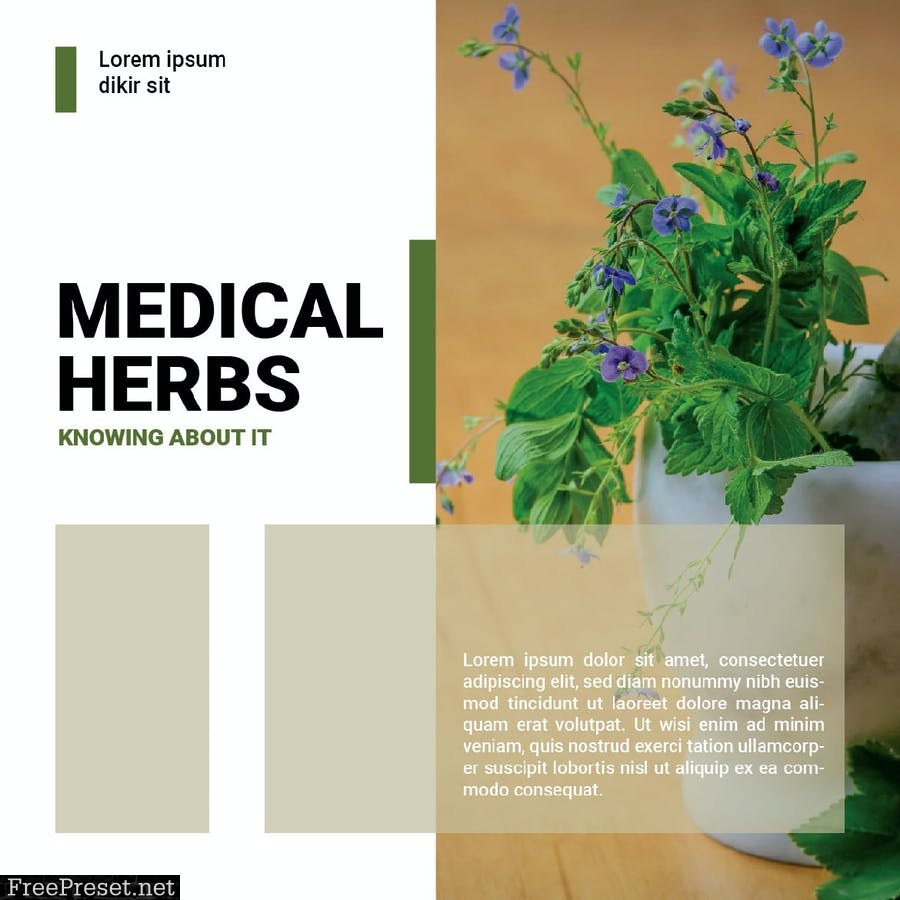 Medical Herbs 6U4PNCX