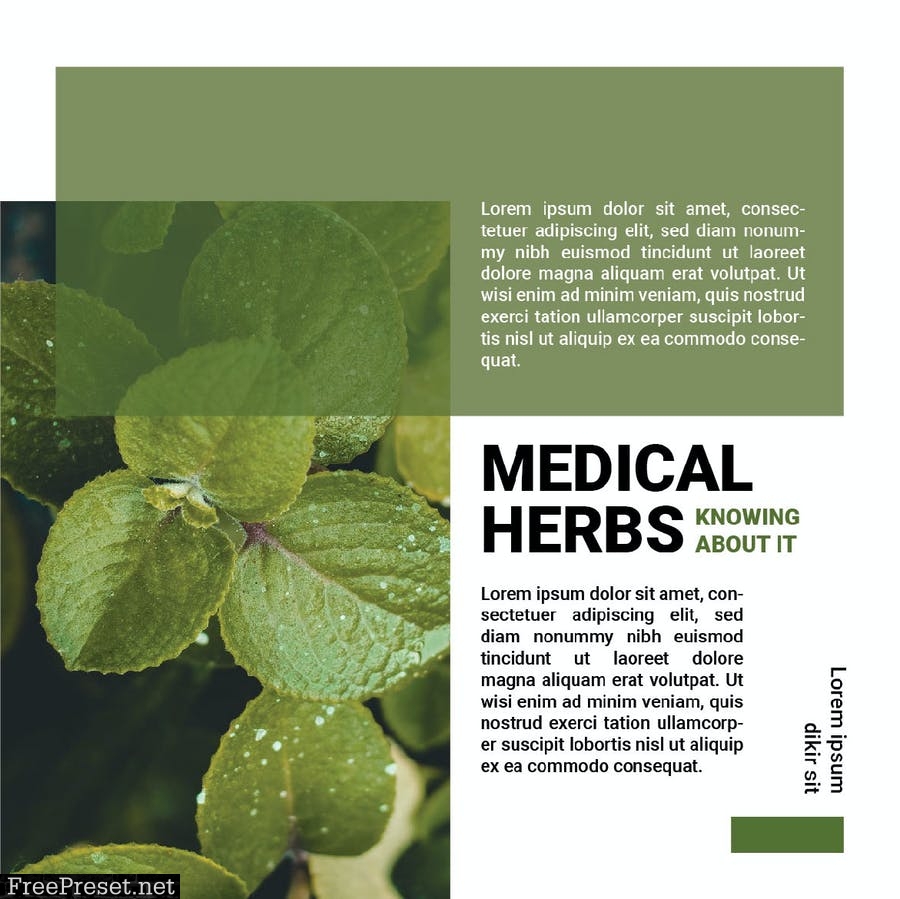 Medical Herbs 6U4PNCX