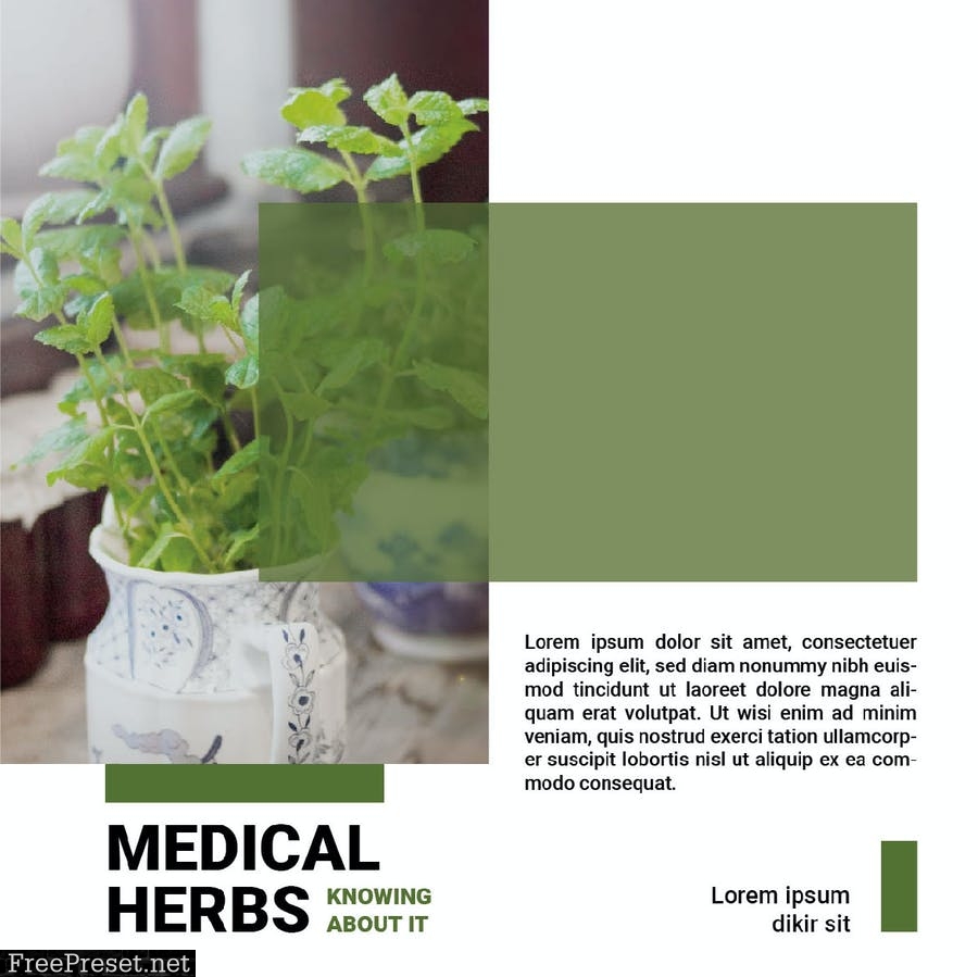 Medical Herbs 6U4PNCX