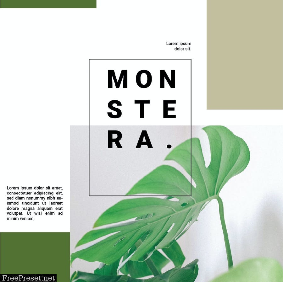 Minimalist Monstera KRU72FA