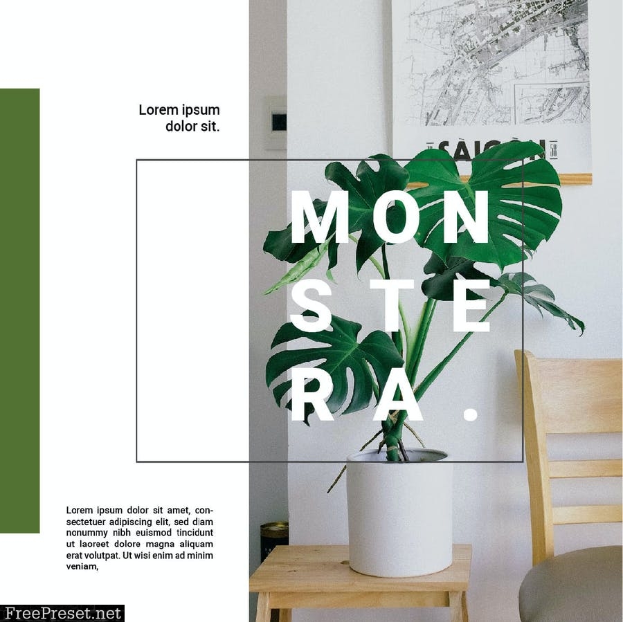 Minimalist Monstera KRU72FA