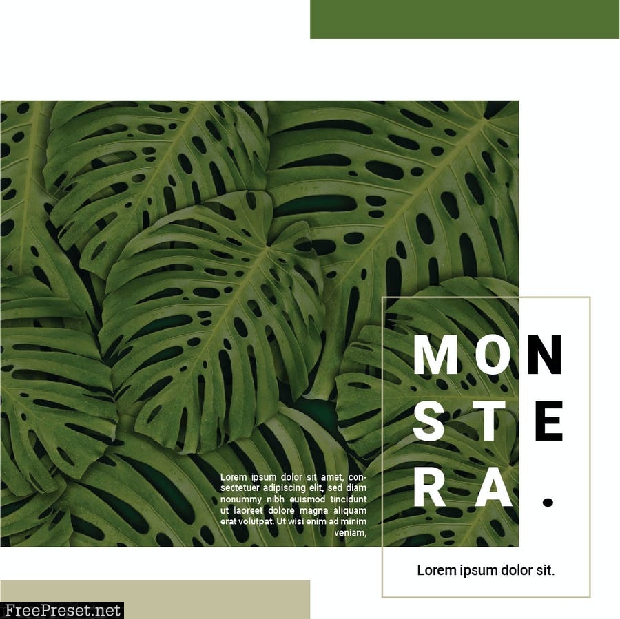 Minimalist Monstera KRU72FA