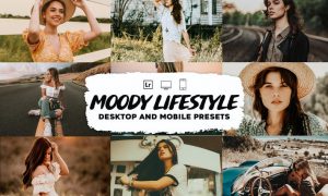 Moody Lifestyle Lightroom presets