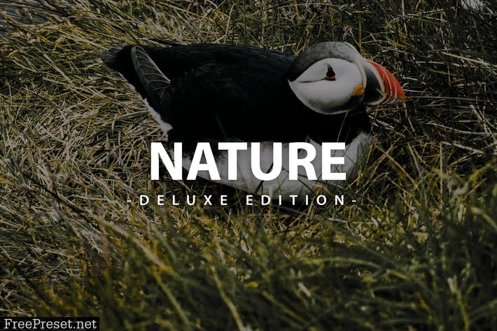 Nature Deluxe Editon | For Mobile and Desktop