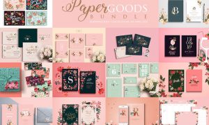 Paper Goods Bundle – Handpicked Set 2760465