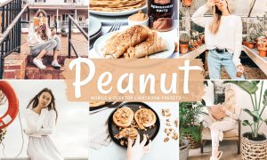 Peanut Mobile & Desktop Lightroom Presets
