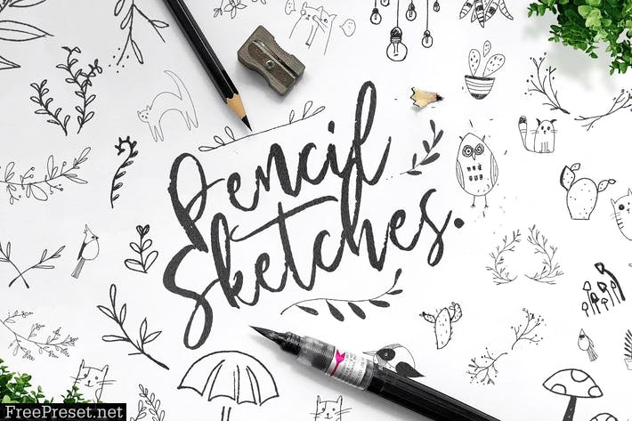 Pencil Sketches Bundle 2LYYT2