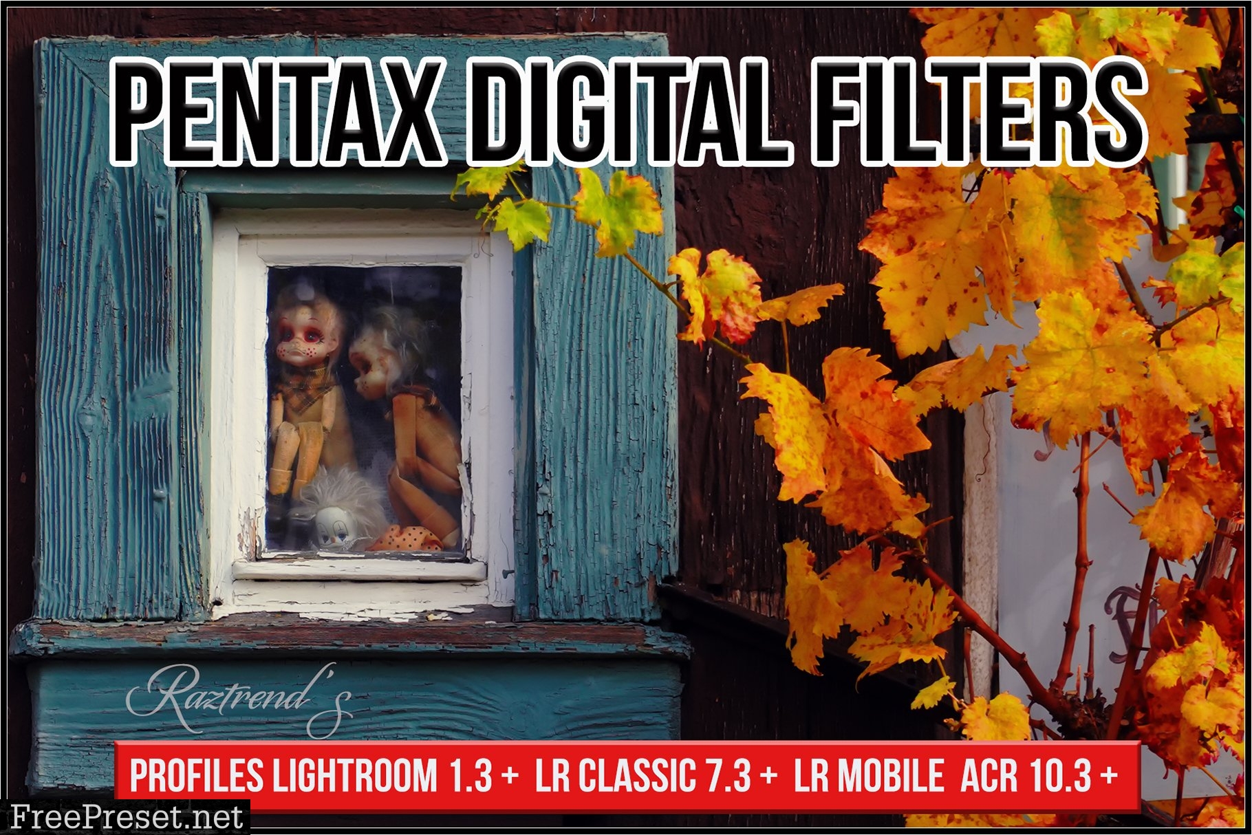 Pentax Digital Filters 5773069