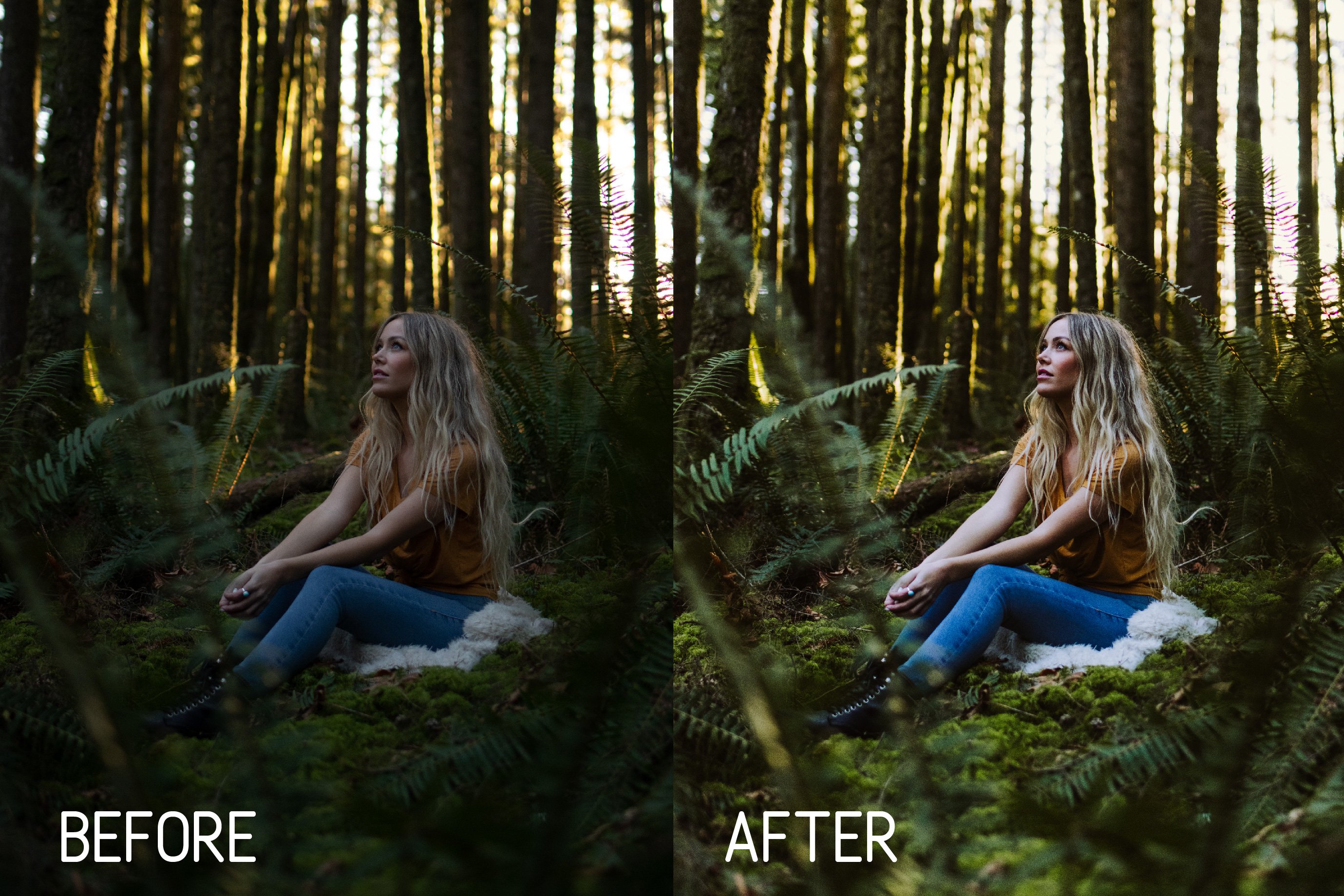 Perfect Portrait Lightroom Presets 5931457