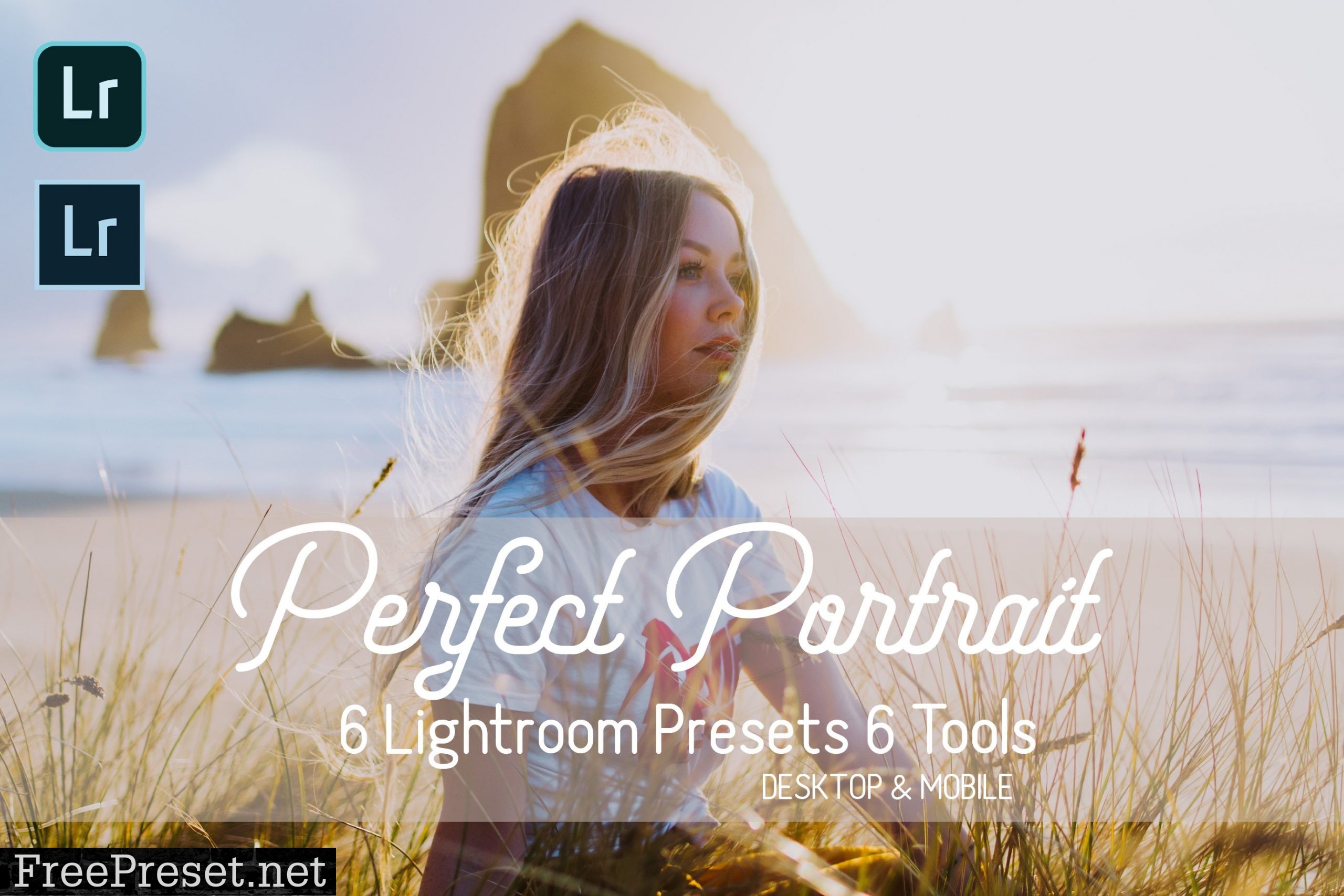 Perfect Portrait Lightroom Presets 5931457