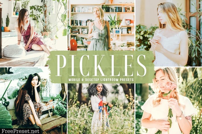 Pickles Mobile & Desktop Lightroom Presets