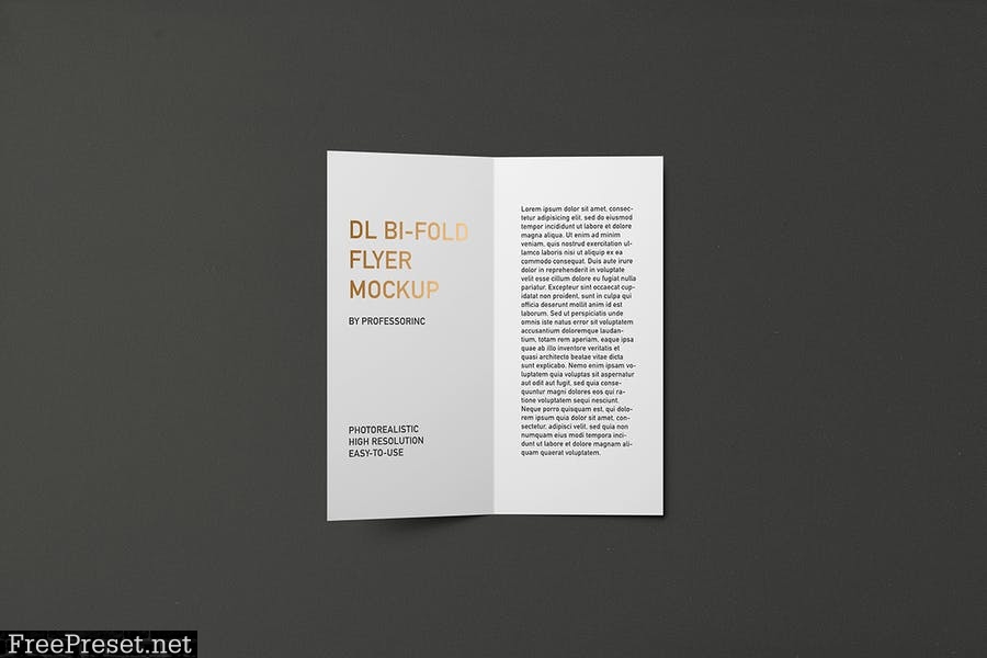 Portrait DL Bi-Fold Brochure / Flyer Mockup