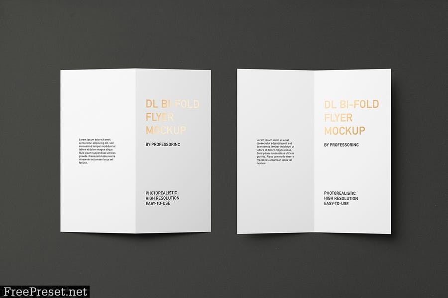 Portrait DL Bi-Fold Brochure / Flyer Mockup