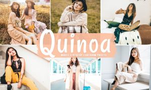 Quinoa Mobile & Desktop Lightroom Presets