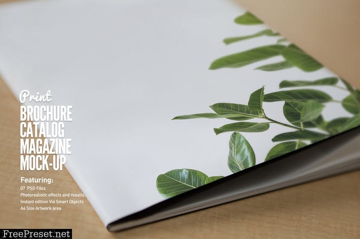 Realistic Brochure Mockups 66FG9Y