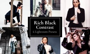 Rich Black Contrast Preset Lightroom 5884735