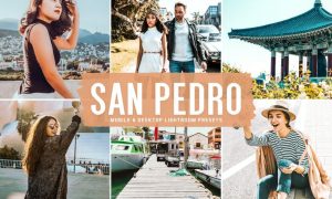 San Pedro Mobile & Desktop Lightroom Presets