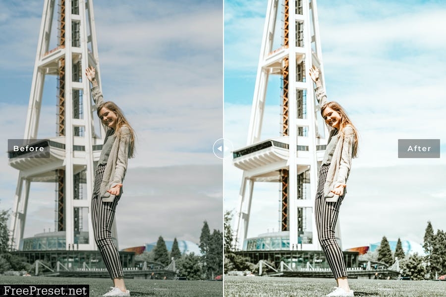 Seattle Mobile & Desktop Lightroom Presets