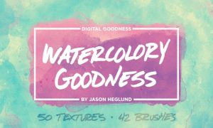 The Watercolory Goodness Bundle RRNFJ3